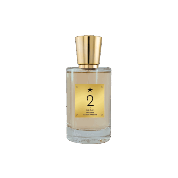 nejma 2 edp spra