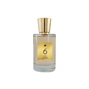 nejma 6 EDP