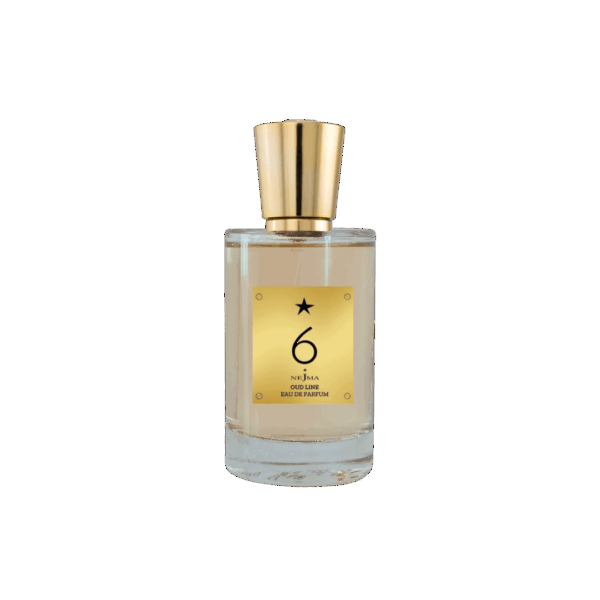 nejma 6 EDP
