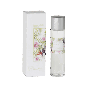 Lothantique Cedrat EDT